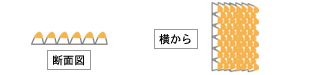 断面図・横から